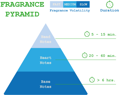 Fragrance Pyramid