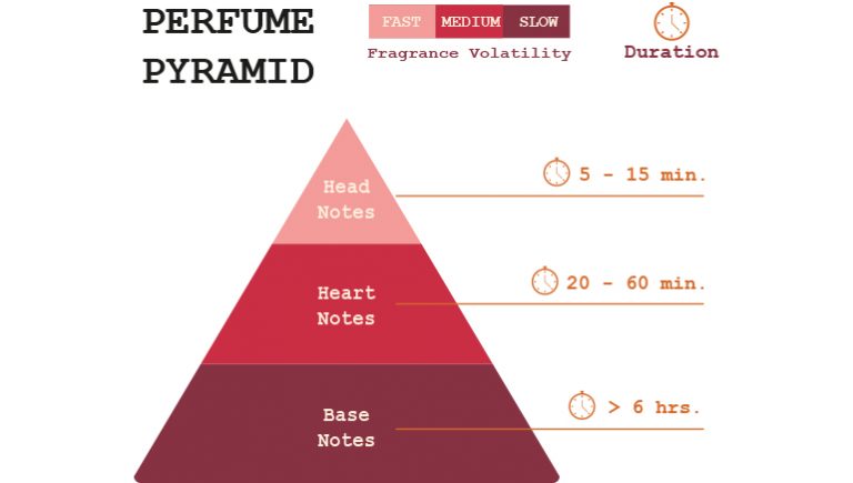 What is a Fragrance Pyramid? - Hofmann Marketing